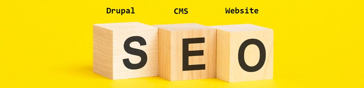 Drupal CMS SEO