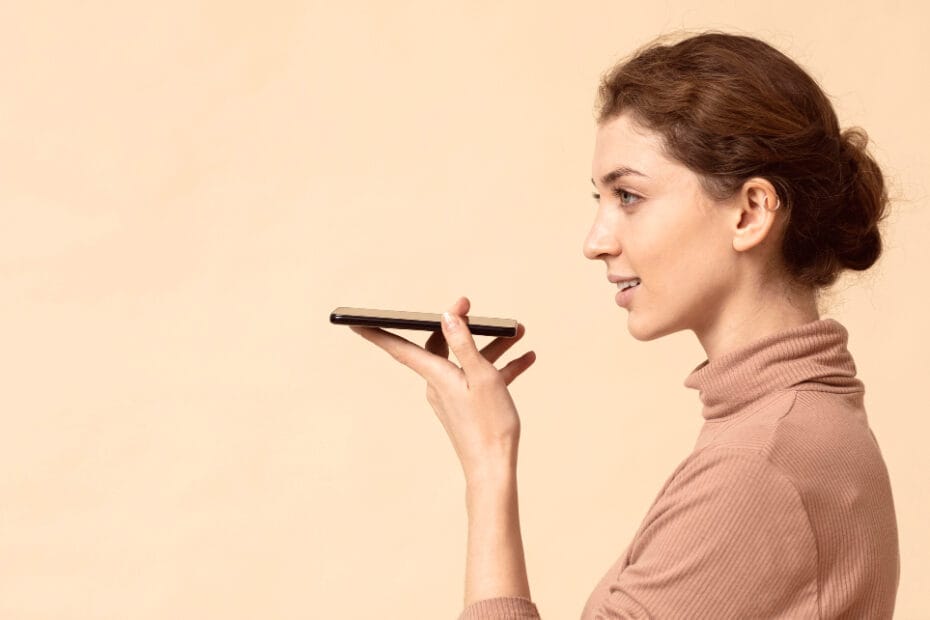 voice search